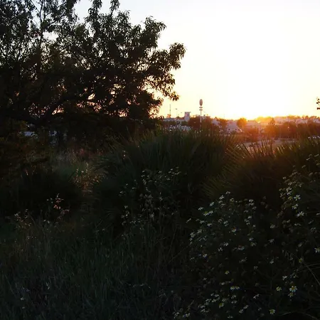 Holiday home Entre Almendros